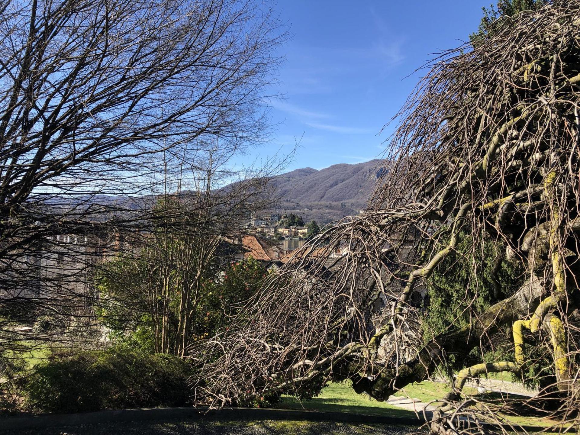 Appartamento Vacanze Al Lago Orta San Giulio Dış mekan fotoğraf
